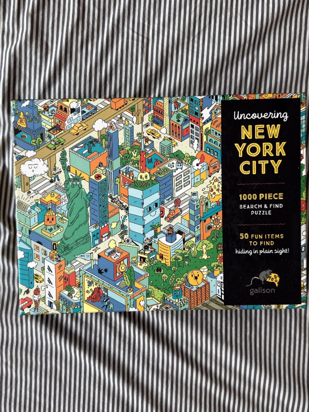 1000 piece search and find "Uncovering New York City" jigsaw puzzle
